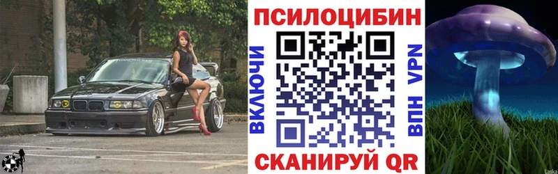 где купить наркотик  Хабаровск  Псилоцибиновые грибы MAGIC MUSHROOMS 